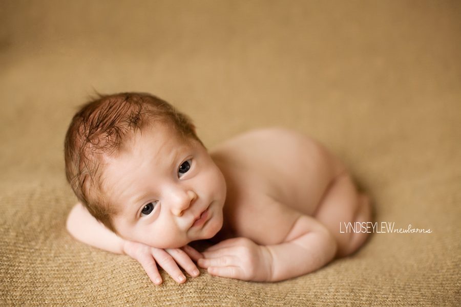 Newborn Photographer Fort Collins, CO