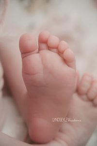 Newborn photos Fort Collins, Colorado
