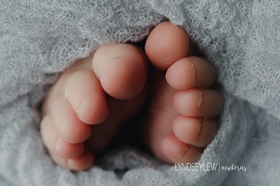 newborn photography detail portrait baby toes denver, colorado